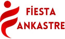 FİESTA DAYANIKLI TÜKETİM MALLARI TİC. VE SAN. LTD. ŞTİ.